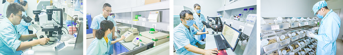 基因细胞治疗 基因细胞治疗