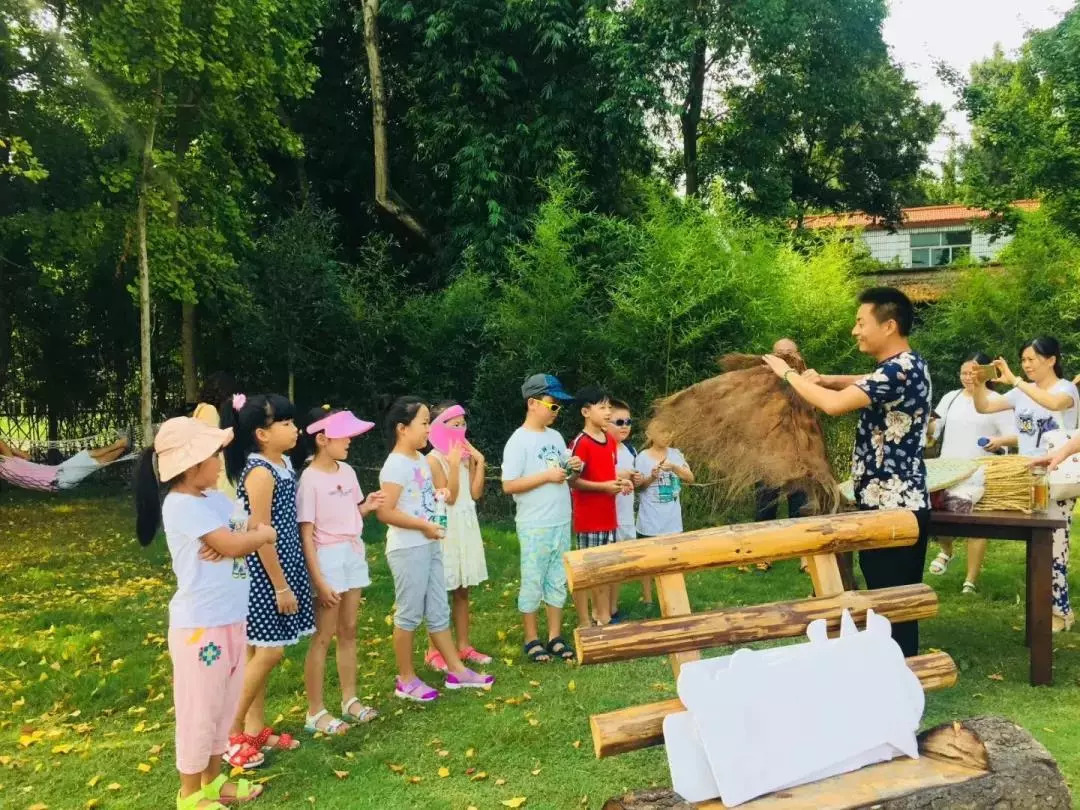 温江区寿安镇第八届桂花旅游节 温江区寿安镇第八届桂花旅游节