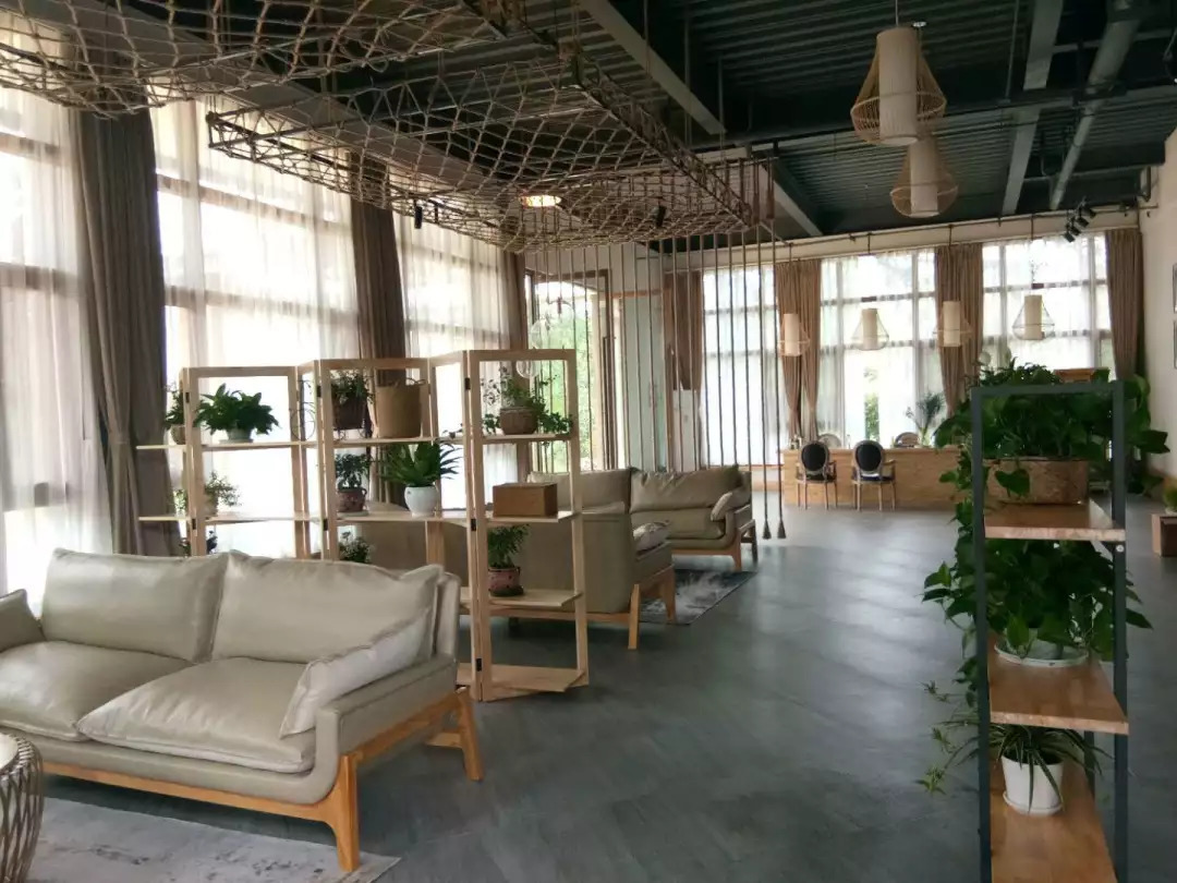温江区寿安镇第八届桂花旅游节 温江区寿安镇第八届桂花旅游节