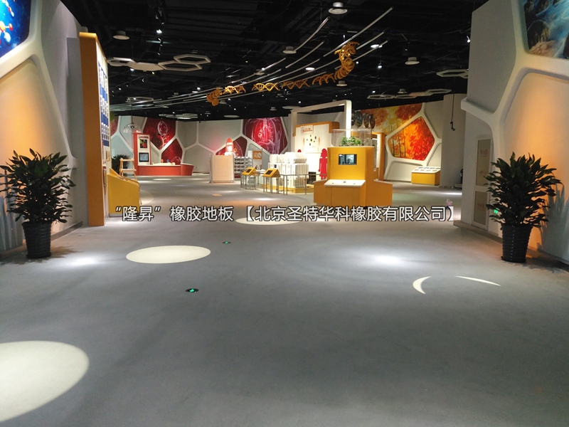 北京科学中心橡胶地板工程案例实图