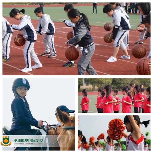 中加枫华小学部运动会：体育是枫华学子的基本素养