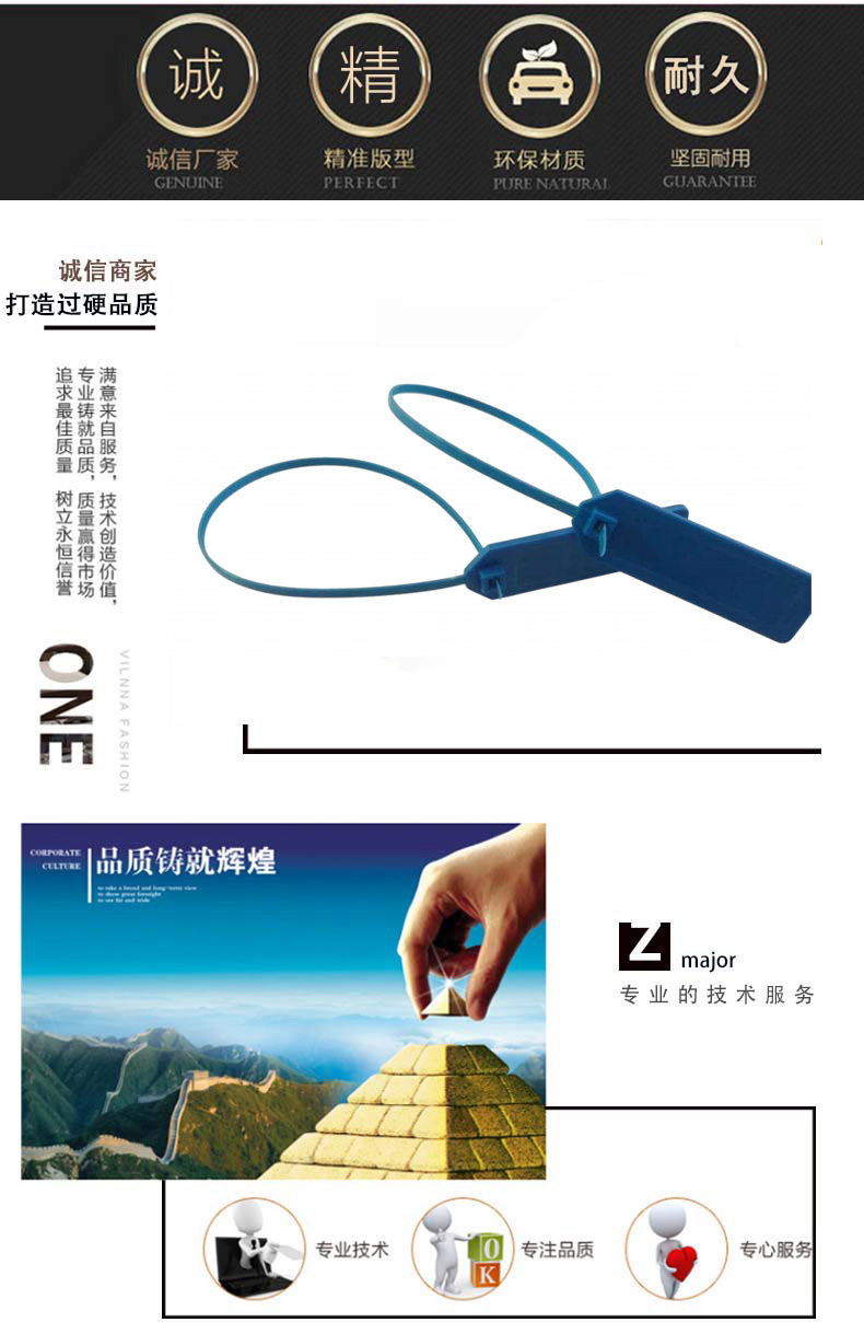 RFID扎带标签
