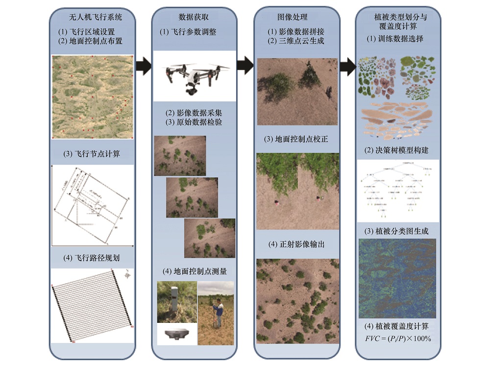 基于無人機(jī)和決策樹算法的榆樹疏林草原植被類型劃分 和覆蓋度生長(zhǎng)季動(dòng)態(tài)估計(jì)