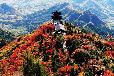 金秋賞葉 除了香山這十個(gè)地方也不賴