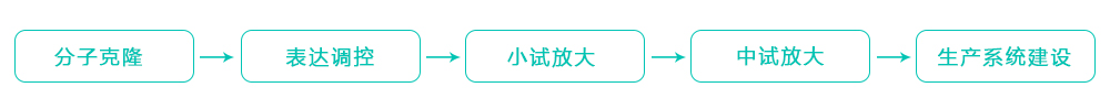 医药研发中心 医药研发中心