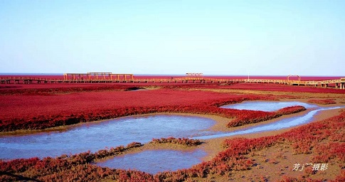 紅海灘?有生之年不得不去的地方