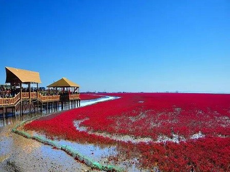 紅海灘?有生之年不得不去的地方