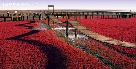 紅海灘?有生之年不得不去的地方