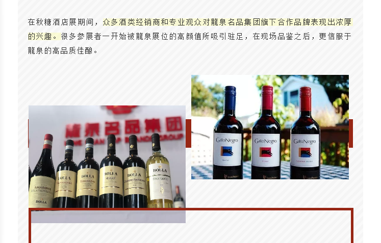 2018秋糖会 | 龍泉荣获中国葡萄酒市场百强榜“卓越运营商”！