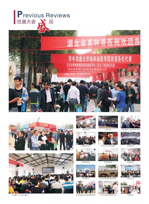正典生物与您相约——第18届中国武汉种猪拍卖会