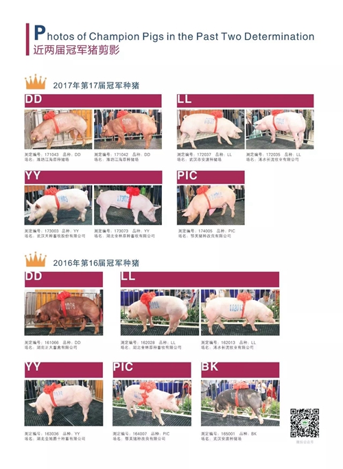 正典生物与您相约——第18届中国武汉种猪拍卖会