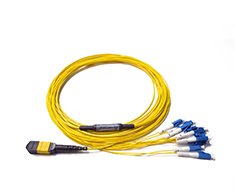 MPO/MTP Harnesses Cables