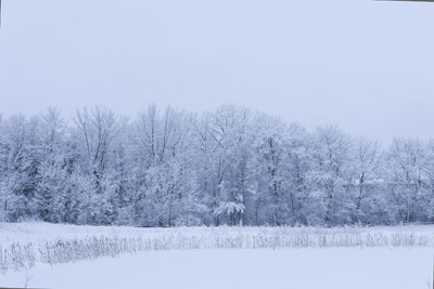 直到遇见它，我又开始喜欢下雪了…