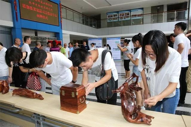 首家海南黃花梨司法鑒定中心在中國熱科院成立，鑒定結(jié)論可具法律效力