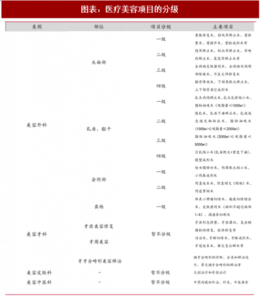 2018 年中国医疗美容行业项目分级及海外市场现状分析