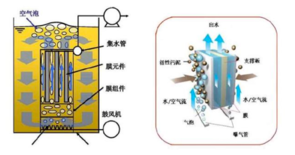 MBR membrane bioreactor process