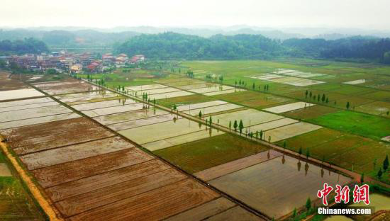 国家发展改革委等五部门联合印发《关于加快推进长江经济带农业面源污染治理的指导意见》