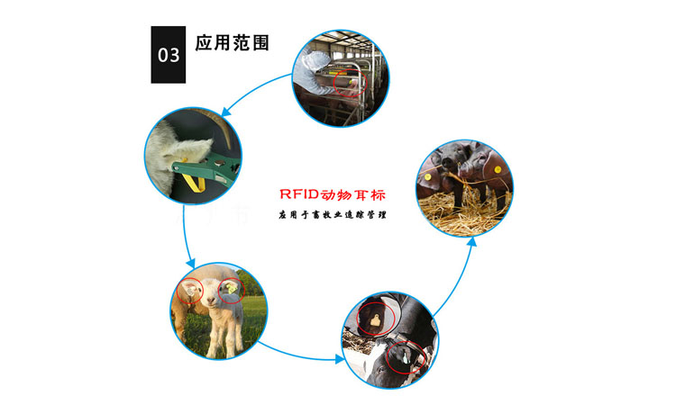 xhw-001动物耳标