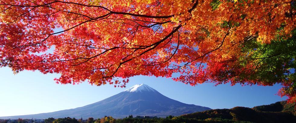 秋季日本住宿旅行目的地排行榜！