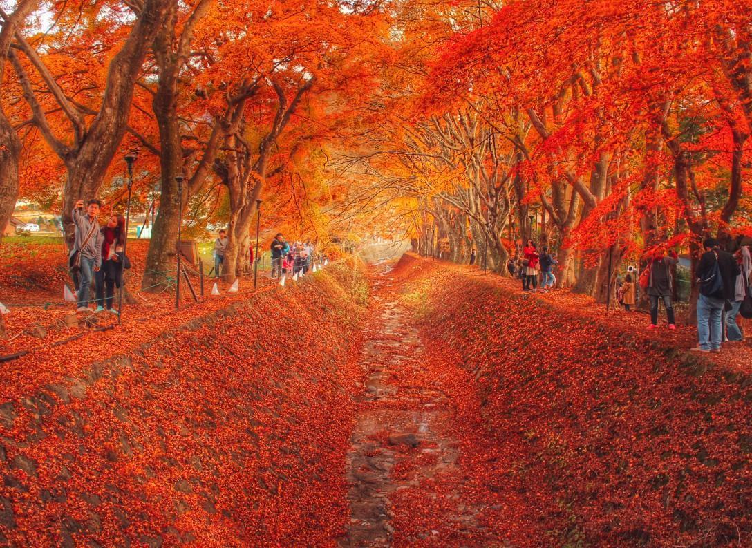 秋季日本住宿旅行目的地排行榜！