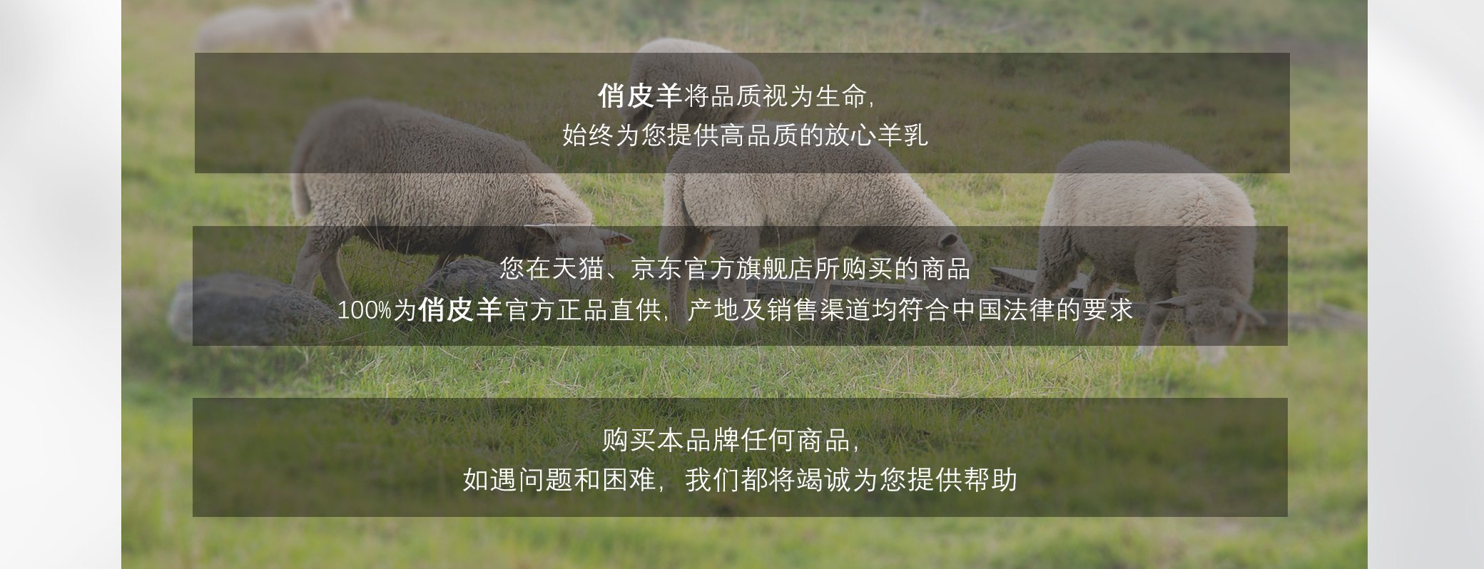 品牌故事