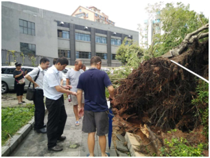 向抗击台风“山竹”的英雄们致敬 向抗击台风“山竹”的英雄们致敬