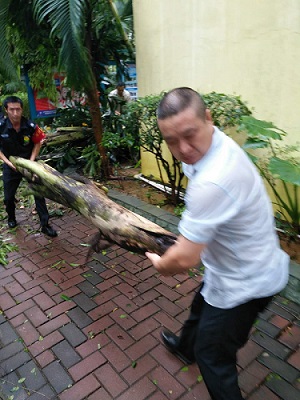 向抗击台风“山竹”的英雄们致敬 向抗击台风“山竹”的英雄们致敬