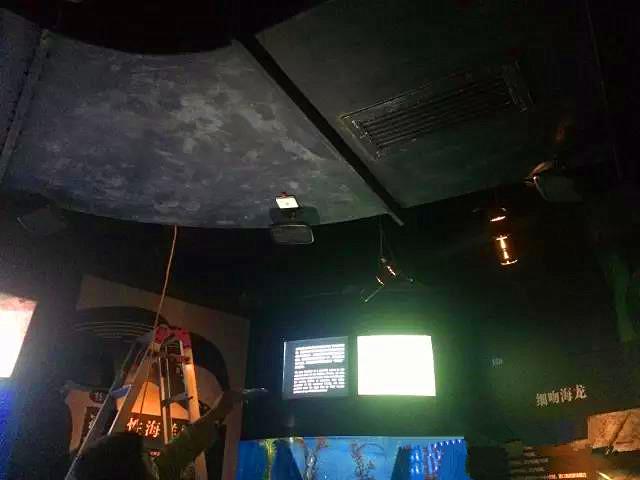 聚音宝和上海海洋馆的完美结合 聚音宝和上海海洋馆的完美结合