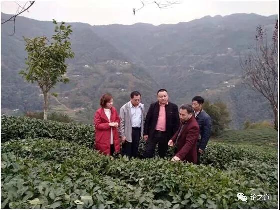 发挥商贸优势 彰显社会责任 : 猎户集团深度对接陕西紫阳县开展产业扶贫 发挥商贸优势 彰显社会责任 : 猎户集团深度对接陕西紫阳县开展产业扶贫