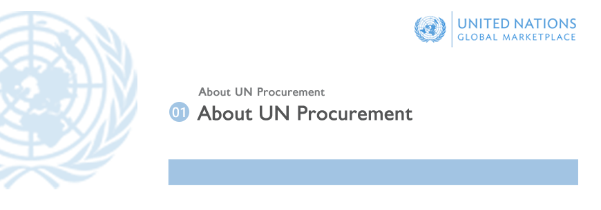 About UN Procurement