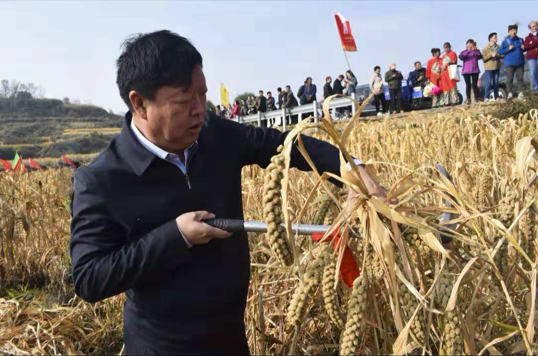 助力革命老區經濟發展 獵戶集團與山西省武鄉縣展開農貿領域深度合作