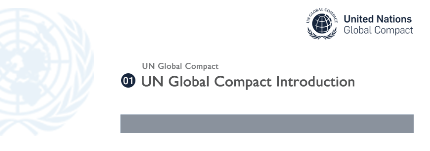 UN Global Compact Introduction