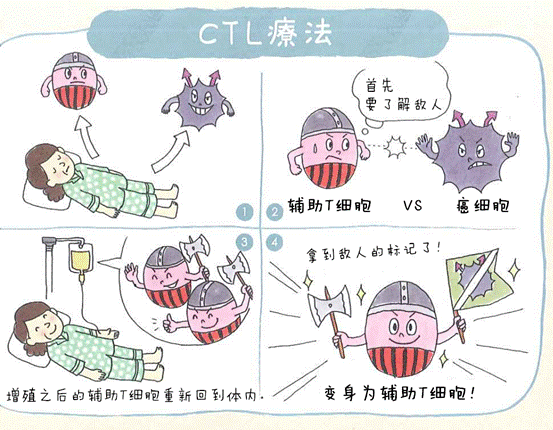 日本再添一座诺贝尔奖，“癌症免疫细胞疗法” 到底是什么？