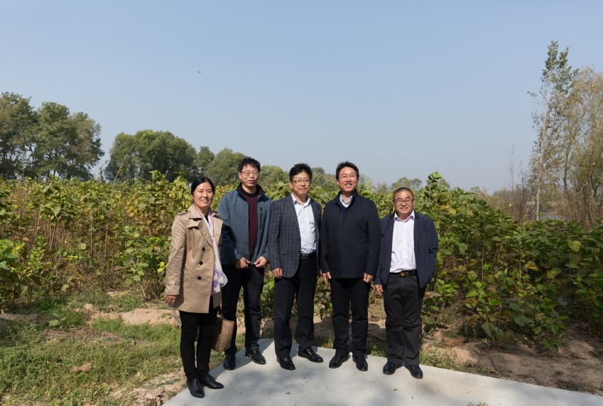 省蚕桑产业创新团队齐河科研示范基地揭牌 省蚕桑产业创新团队齐河科研示范基地揭牌