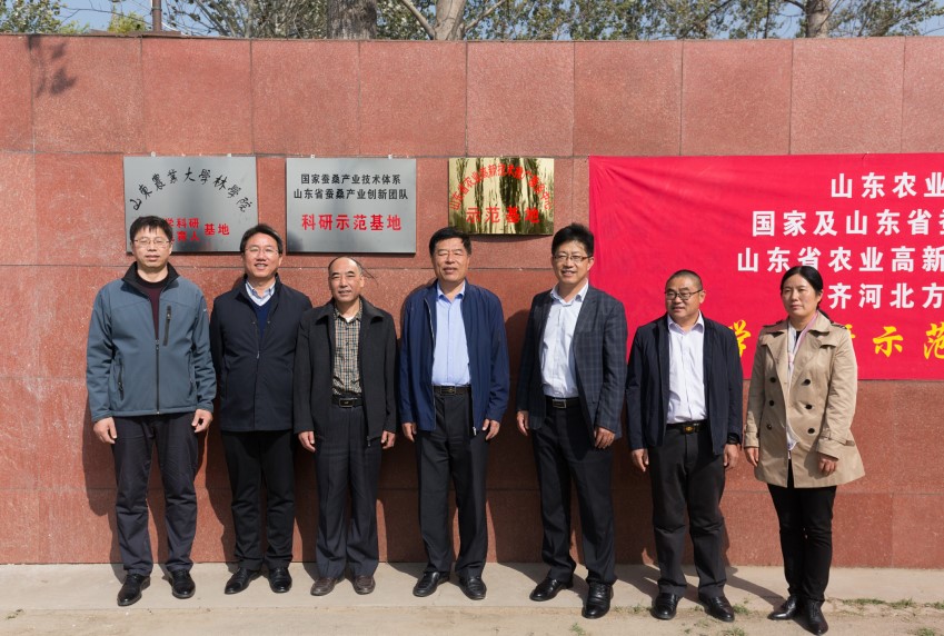 省蚕桑产业创新团队齐河科研示范基地揭牌 省蚕桑产业创新团队齐河科研示范基地揭牌
