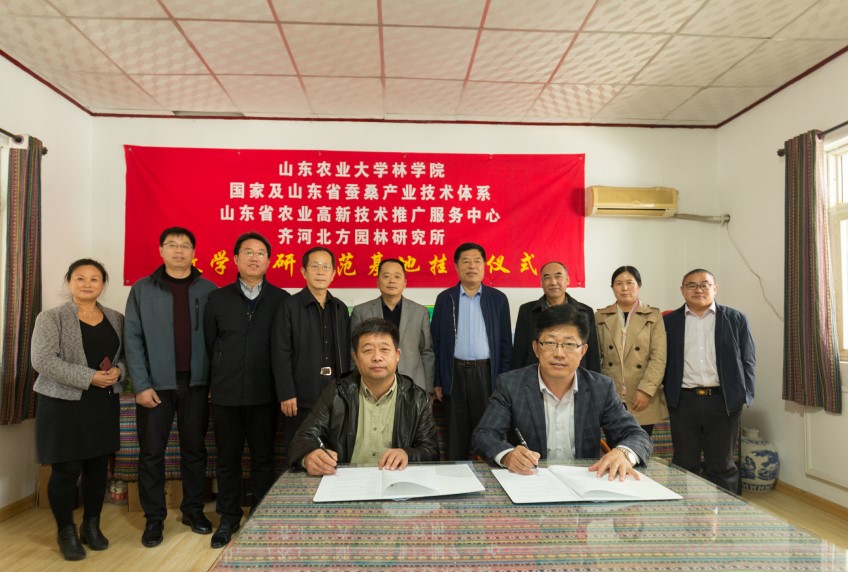 省蚕桑产业创新团队齐河科研示范基地揭牌 省蚕桑产业创新团队齐河科研示范基地揭牌