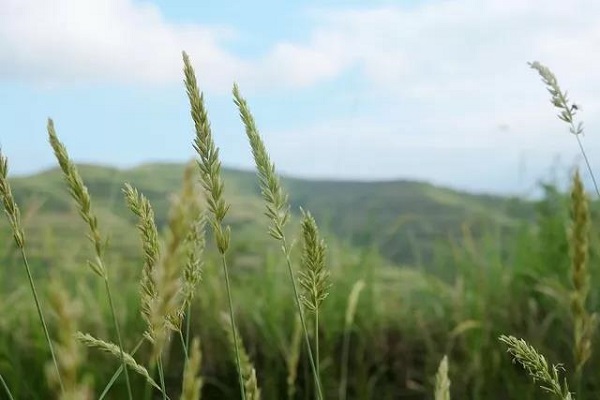 艺术学院—“青春拓梦”暑期实践团，我们在定西（五）