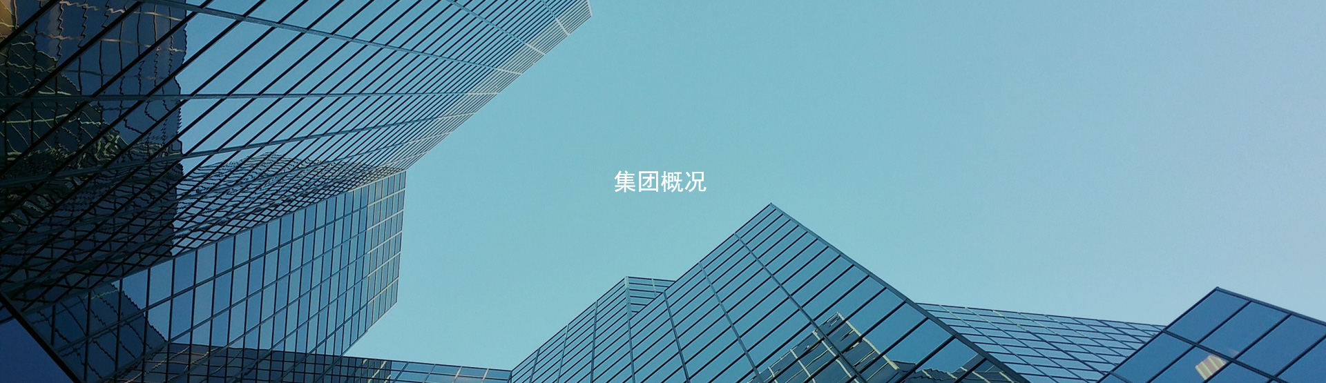 集团概况