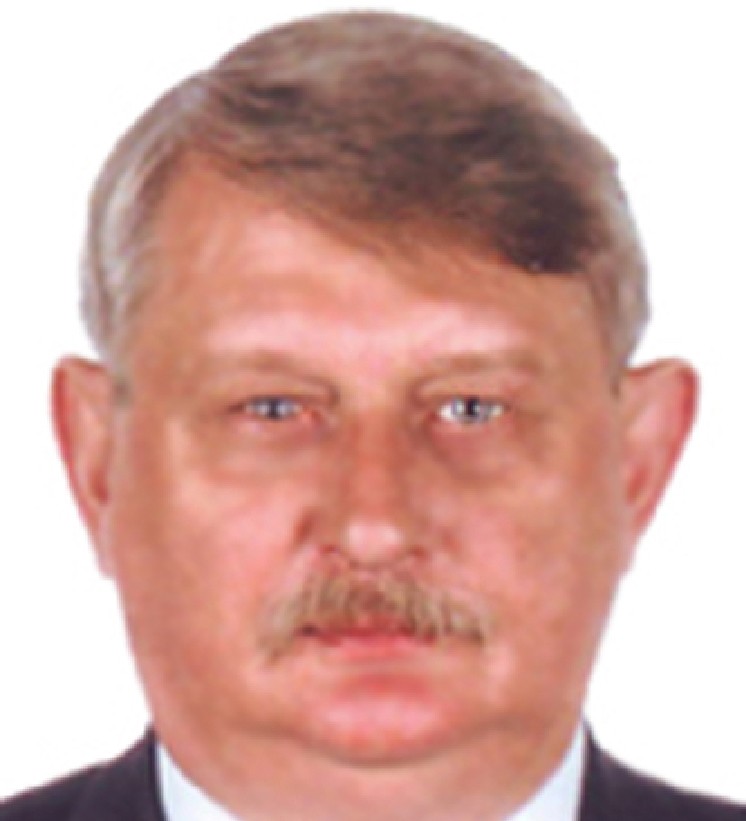 Vladimir A. PALKIN