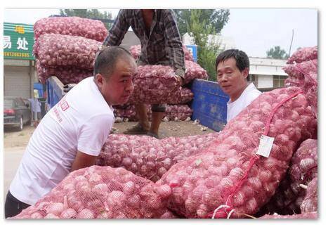 张正河主任助力大名县滞销大蒜外销