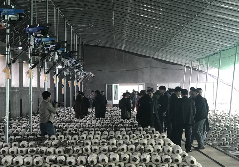 “夏蚕冬菇”综合发展模式技术研讨会在莒县召开 “夏蚕冬菇”综合发展模式技术研讨会在莒县召开