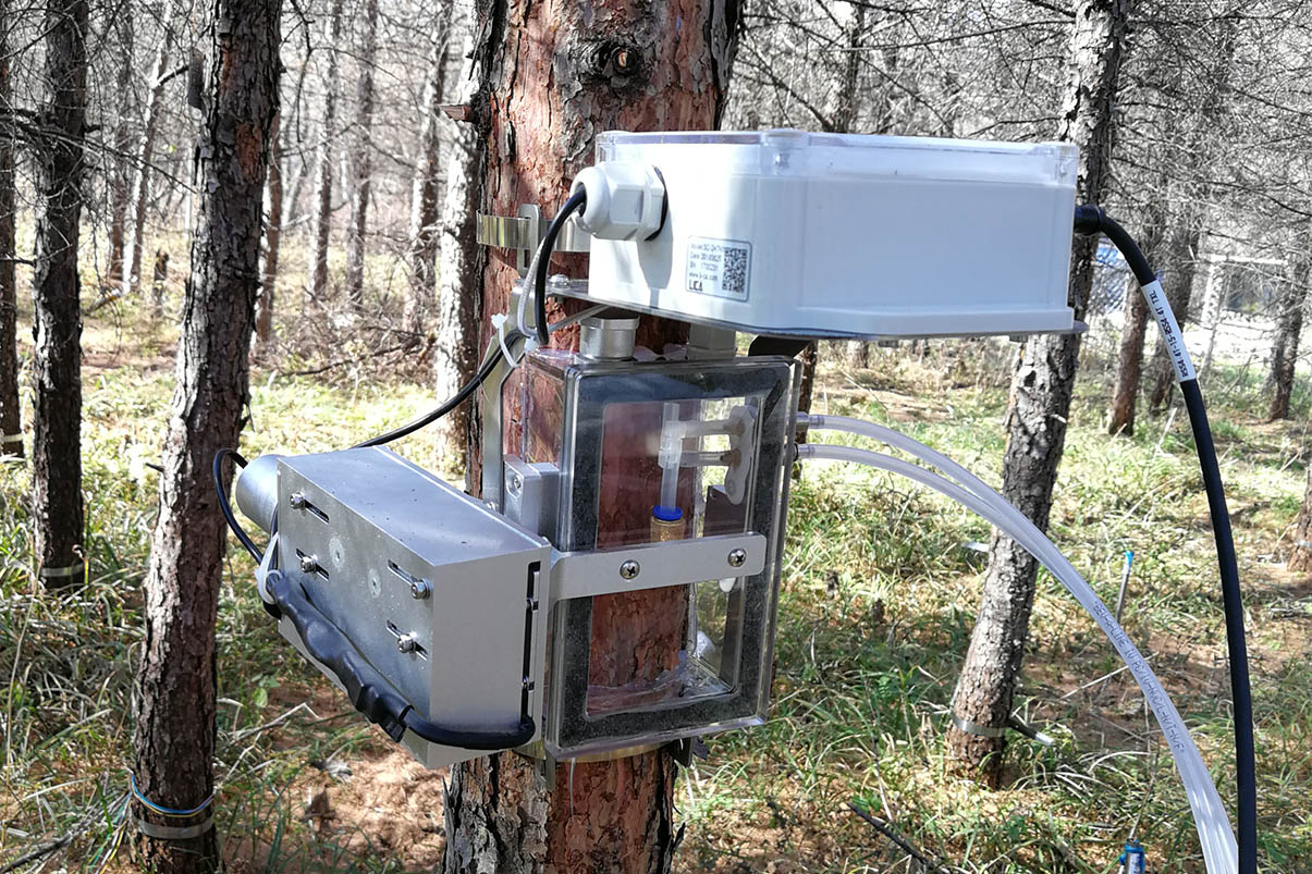 东北林业大学 帽儿山项目 树枝、树叶呼吸通量系统
