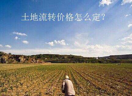 农村土地流转价格怎么计算?