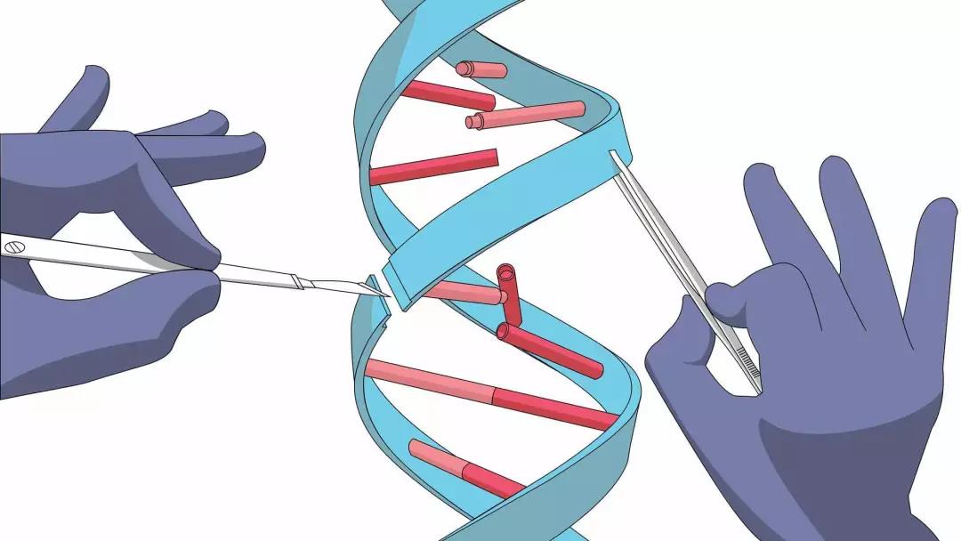 Broad研究所开发出功能更强大的CRISPR文库