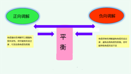 日本获得诺贝尔奖的“免疫疗法”，对癌症治疗有什么重大