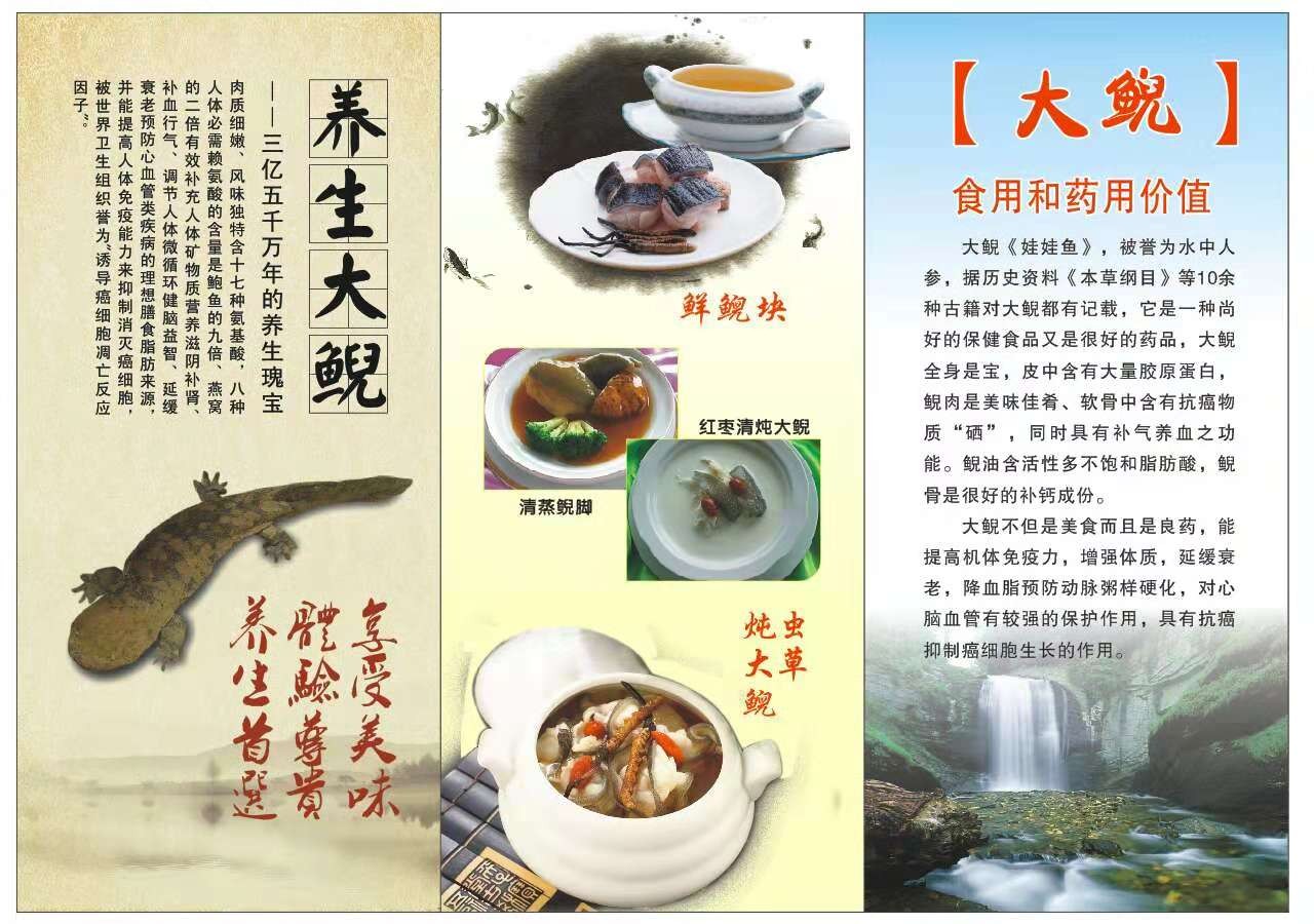 大鲵产品介绍