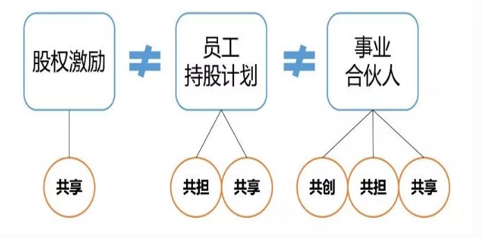 项目股权激励机制，项目股权激励机制怎么写