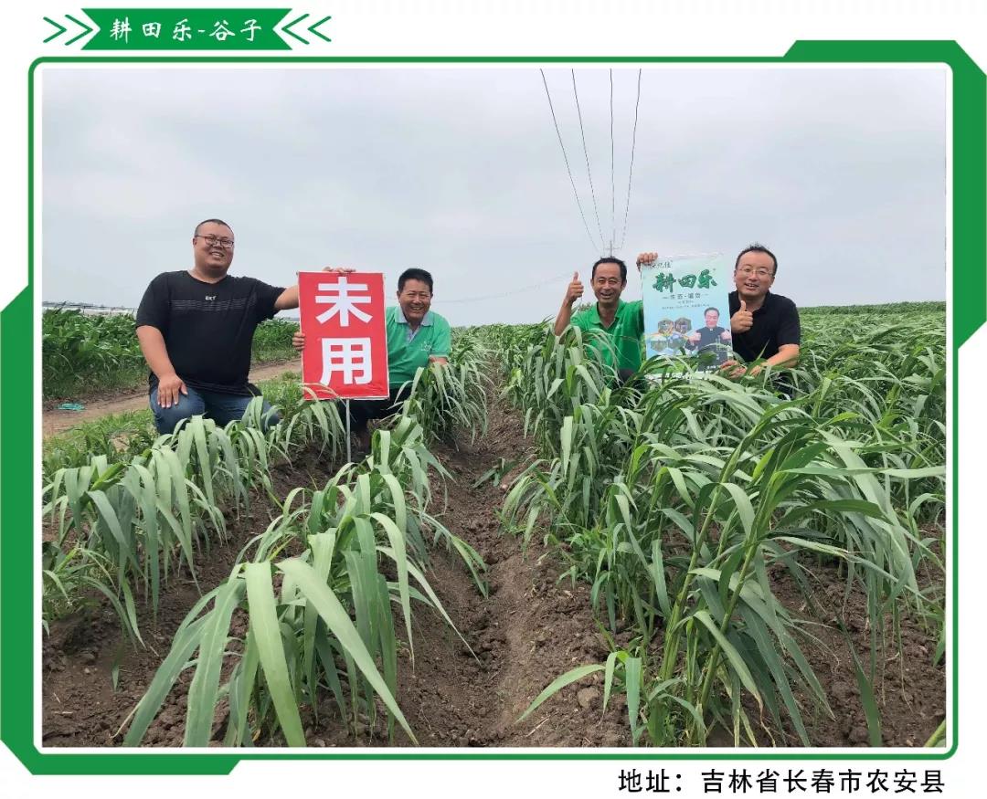 beplay体育官网乐2018-2019年度巅峰盛会《牛群访谈》片段 beplay体育官网乐2018-2019年度巅峰盛会《牛群访谈》片段
