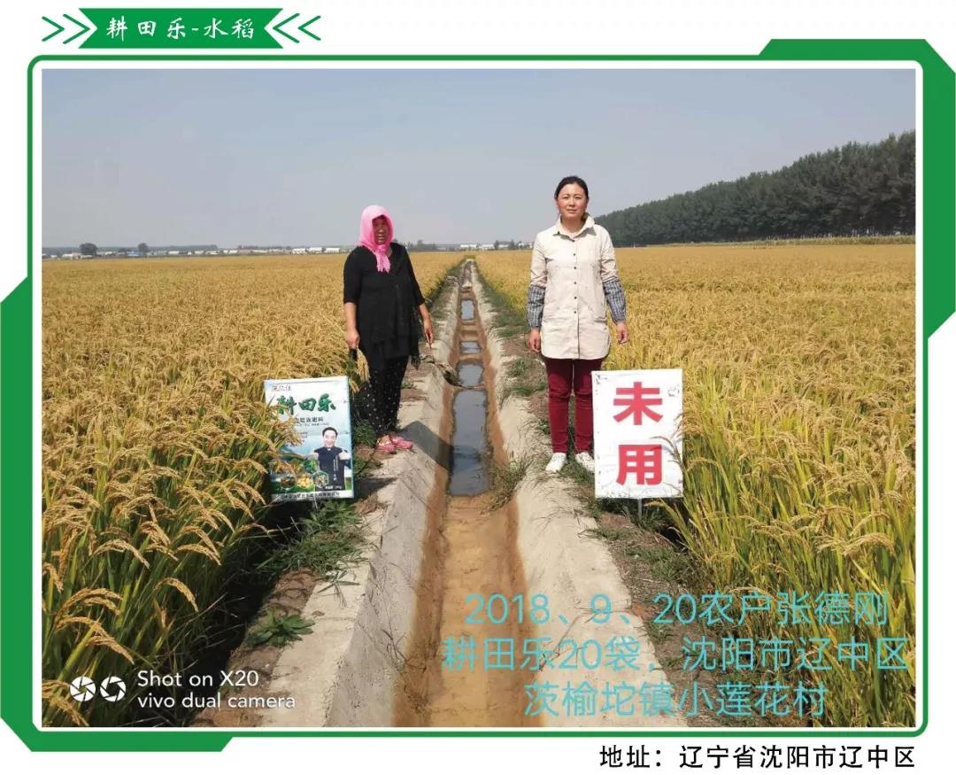 beplay体育官网乐2018-2019年度巅峰盛会《牛群访谈》片段 beplay体育官网乐2018-2019年度巅峰盛会《牛群访谈》片段