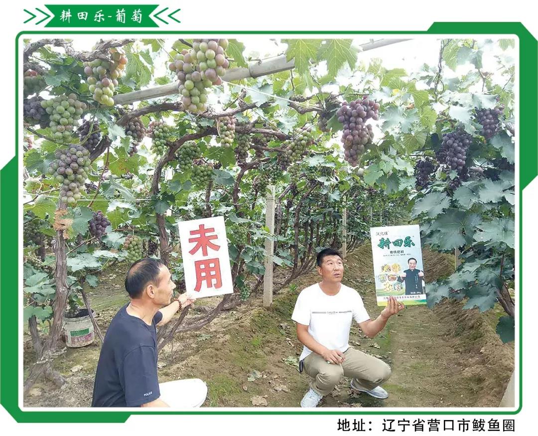 beplay体育官网乐2018-2019年度巅峰盛会《牛群访谈》片段 beplay体育官网乐2018-2019年度巅峰盛会《牛群访谈》片段